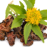 Rhodiola Rosea Extract