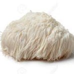 Lion's Mane Mushroom